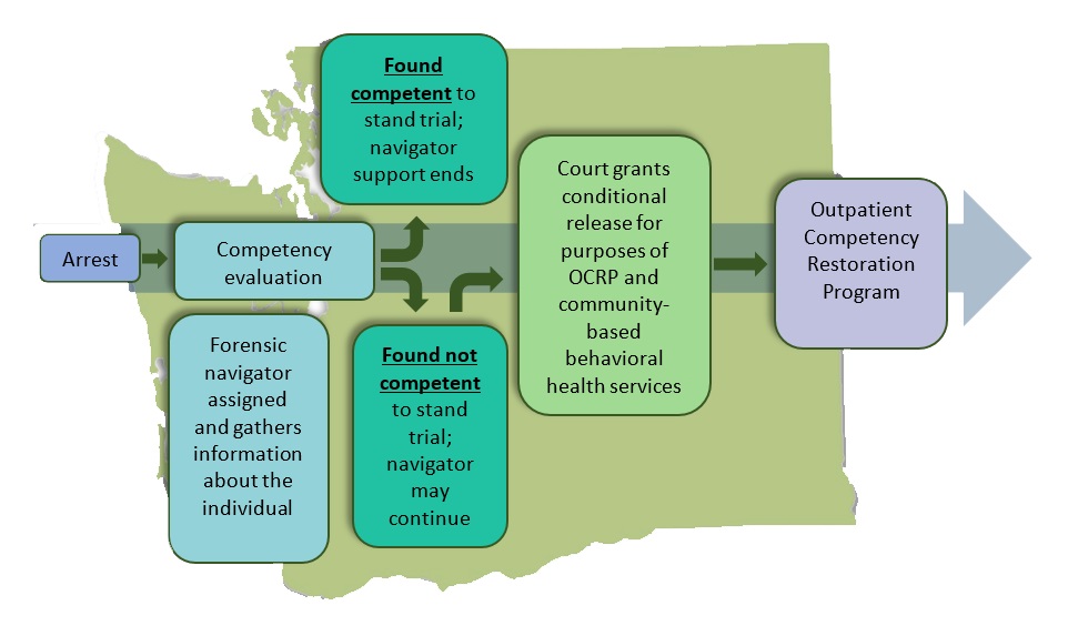 Forensic navigator process