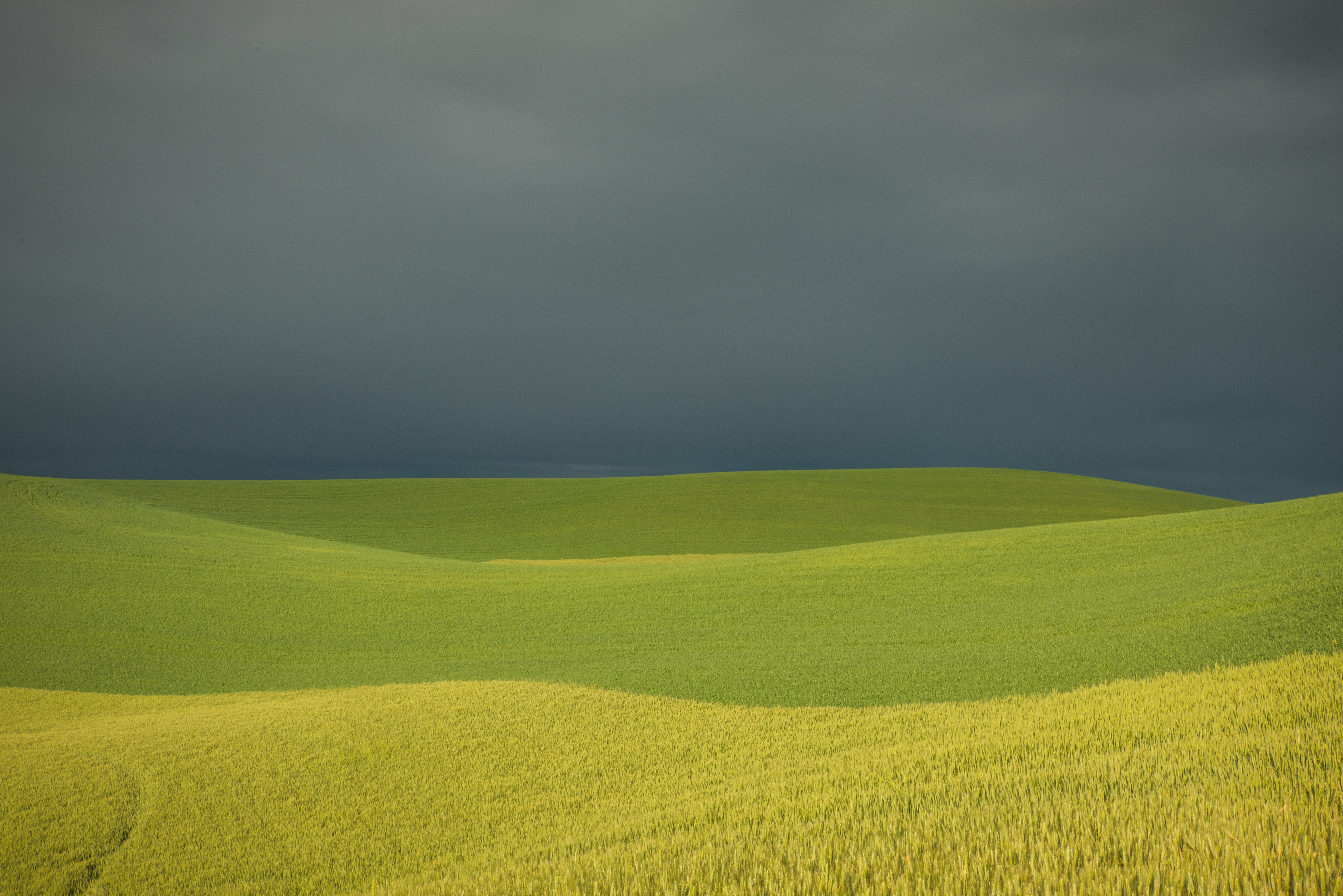 Artistic: Palouse Valley