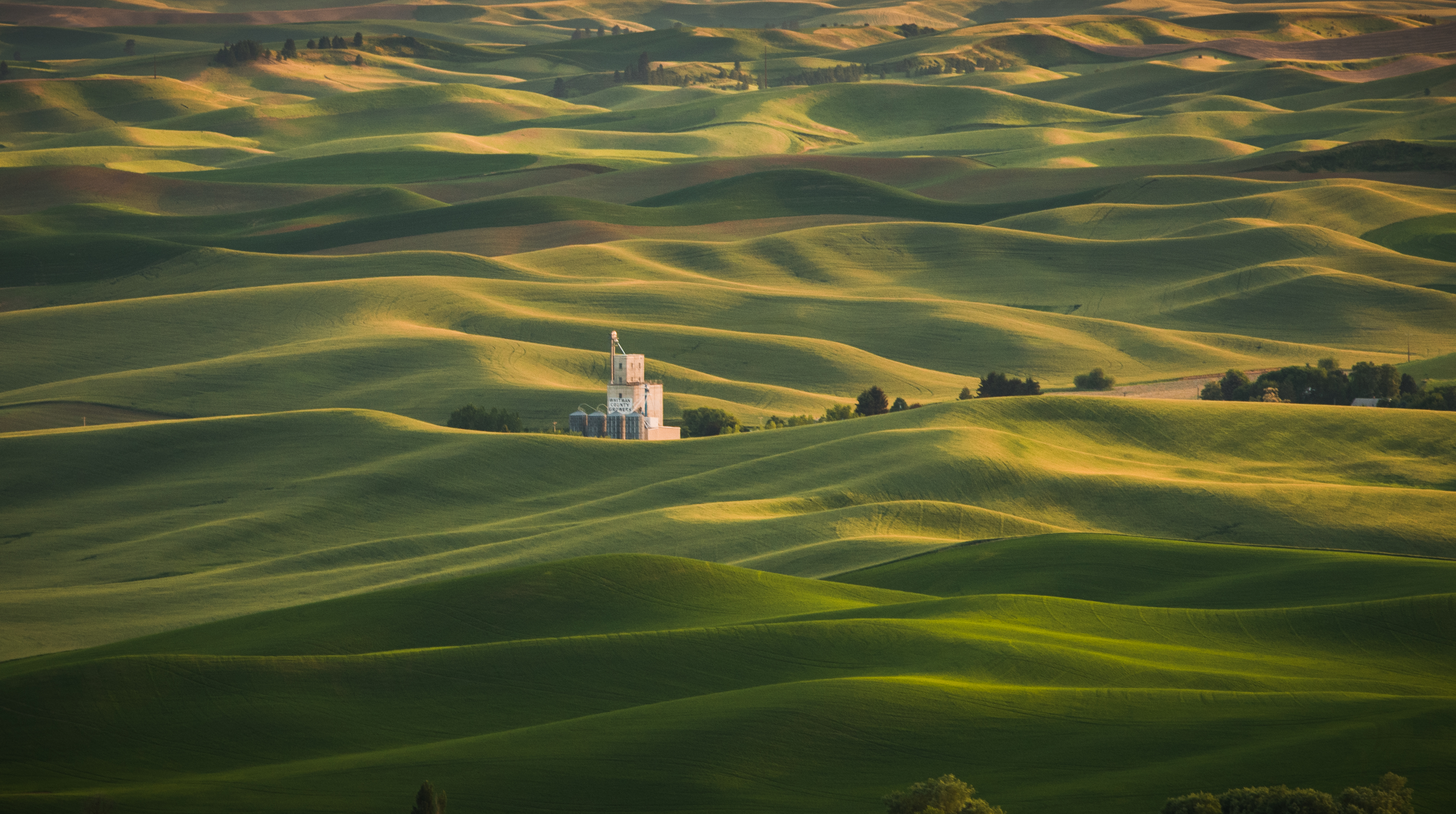 Artistic: Steptoe Butte