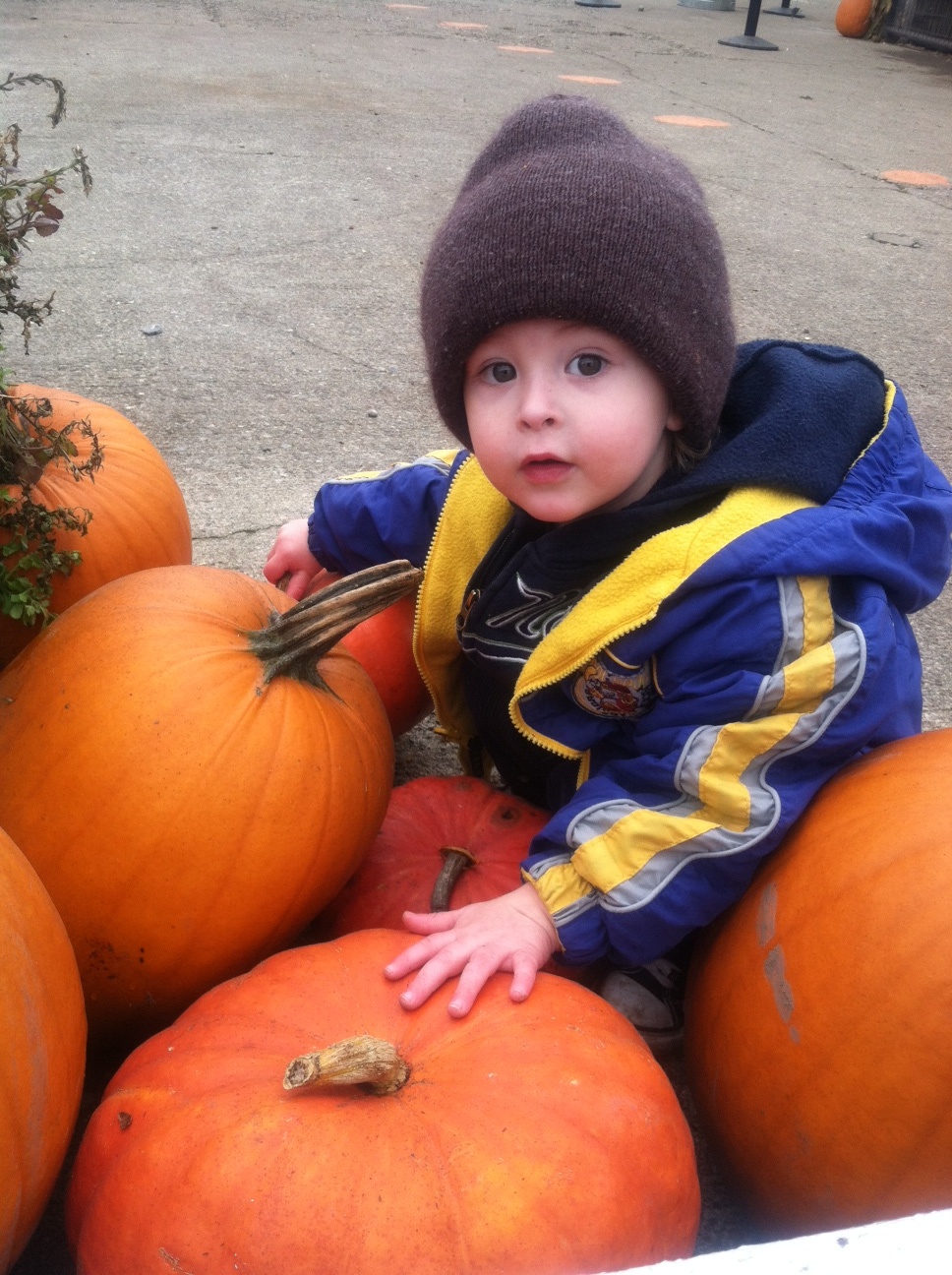 Lukes Loves Pumpkins
