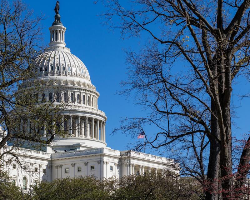 photo of Capitol building by Mark Thomas