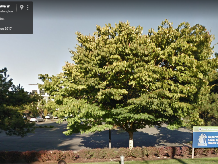 Exterior photo of Lynnwood office